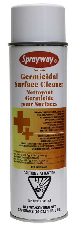 GERMICIDAL SURFACE CLEANER 19 OZ FOAM DIN #02246034